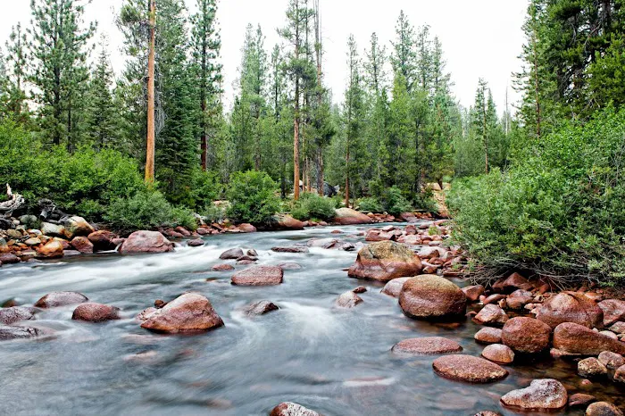 Mono Creek Day Use Area 6