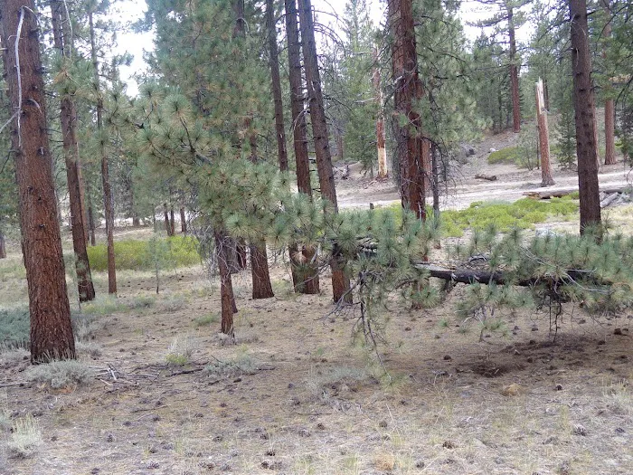 Mono Creek Day Use Area 3
