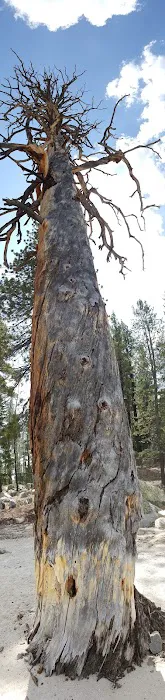 Vermillion Campground 0