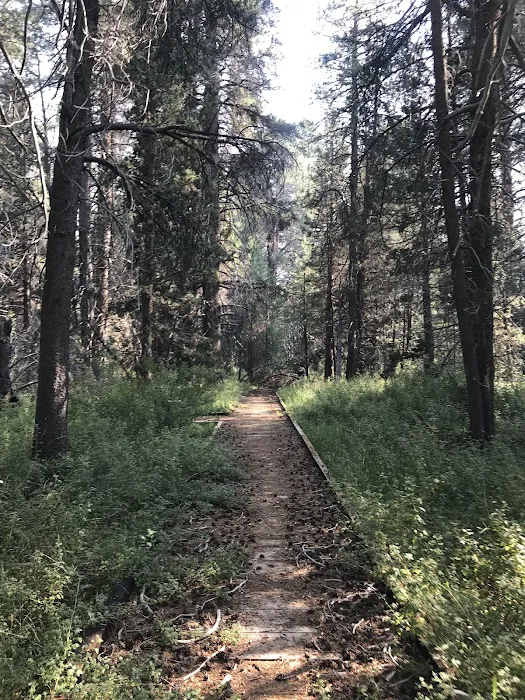 JACKASS MEADOW (recgovnpsdata) 3