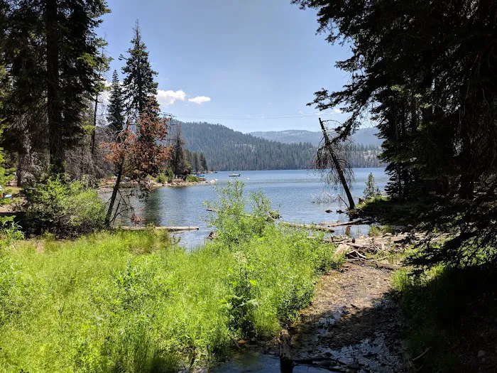 Kinnikinnick Campground 6
