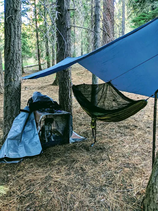 Kinnikinnick Campground 7