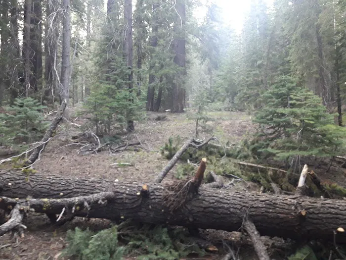 CATAVEE Campground 5
