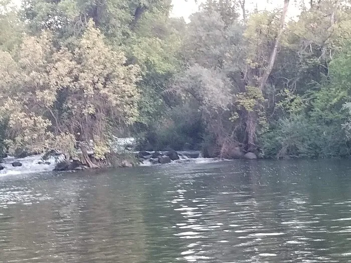 BLM Pit River Campground 3