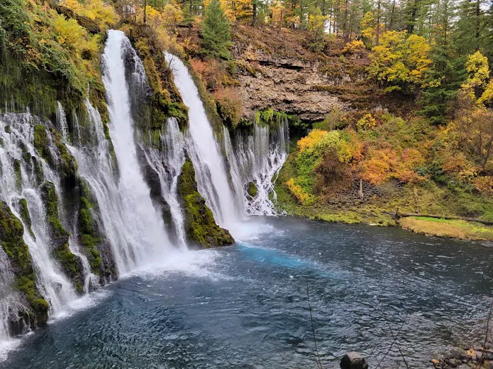 McArthur - Burney Falls Rim Campground 9