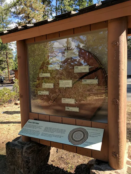McArthur - Burney Falls Rim Campground 6