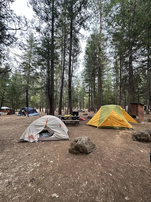 McArthur - Burney Falls Rim Campground 3