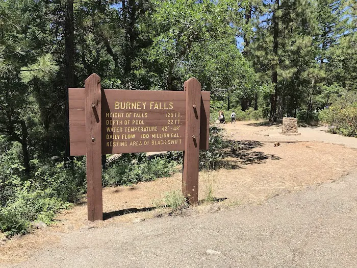 McArthur - Burney Falls Rim Campground 5