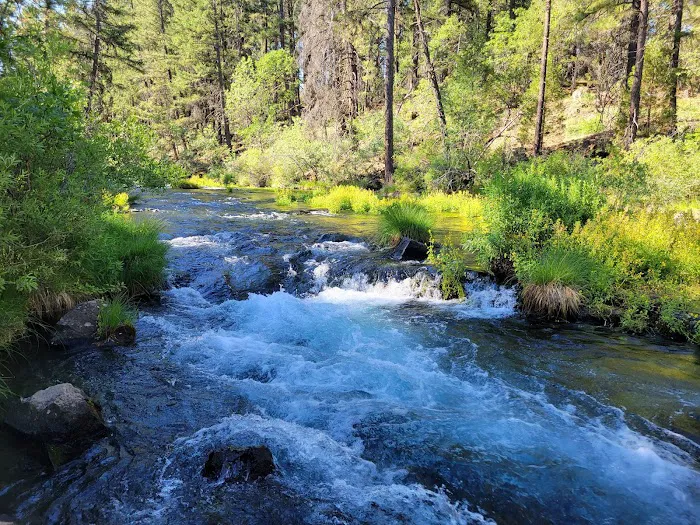 McArthur - Burney Falls Rim Campground 7