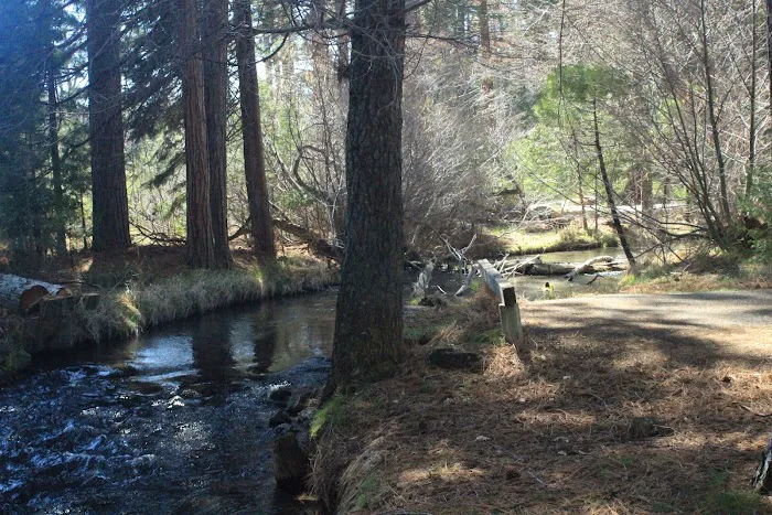 Honn Campground 1