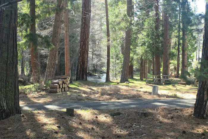 Honn Campground 3