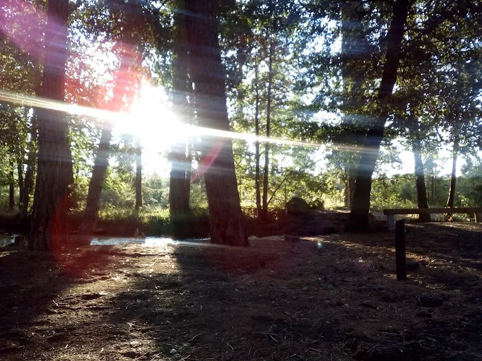 Honn Campground 8