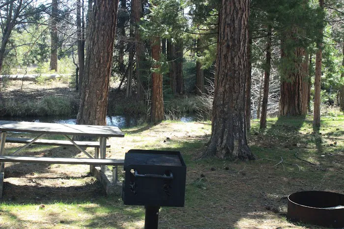 Honn Campground 2