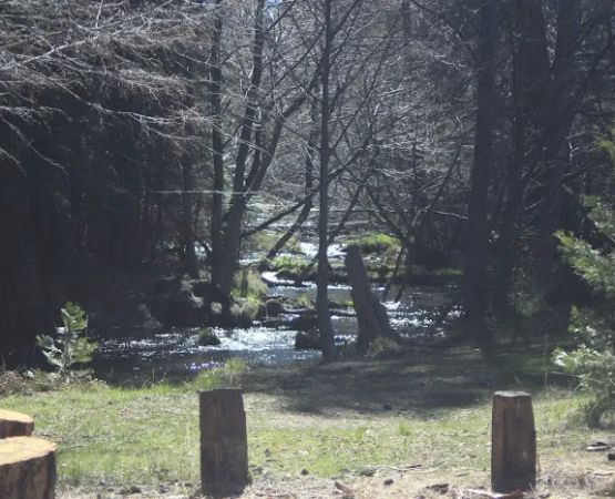 Honn Campground