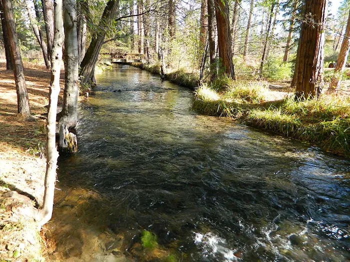Honn Campground 7