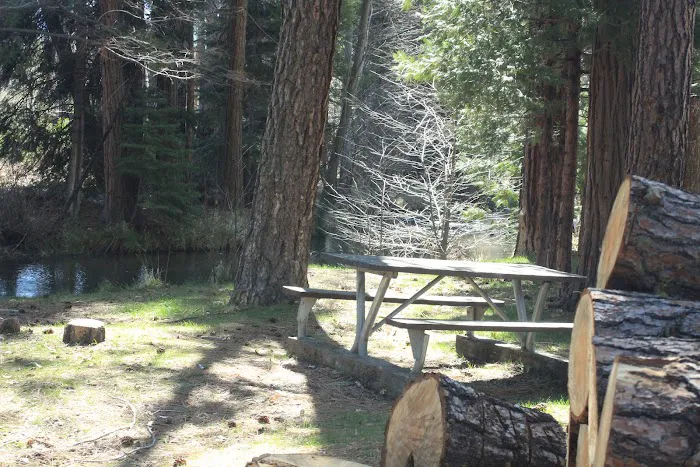 Honn Campground 6