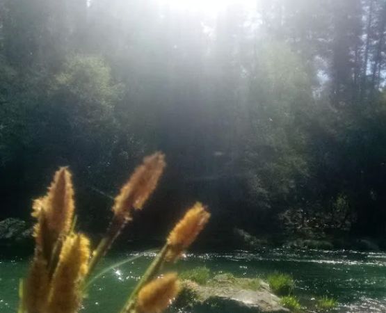 Ruling Creek Campground - Entrance