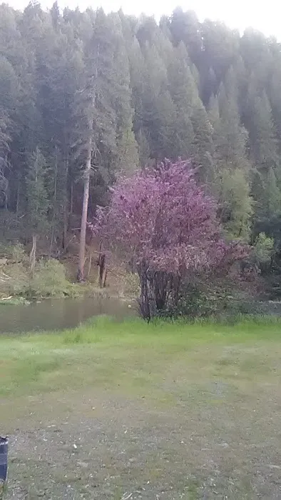 Ruling Creek Campground - Entrance 4
