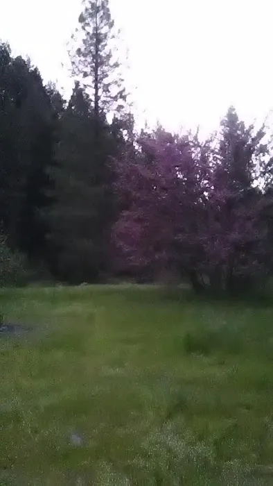 Ruling Creek Campground - Entrance 6