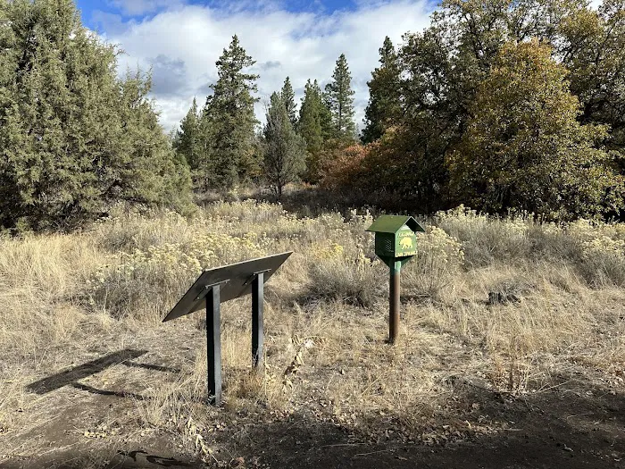 Crystal Springs Campground 2