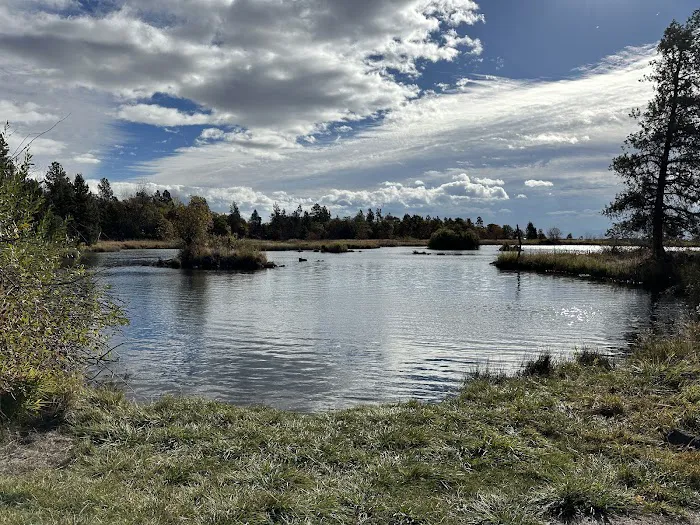 Crystal Springs Campground 3