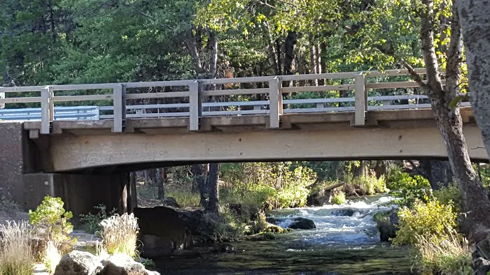 Bridge Campground 8