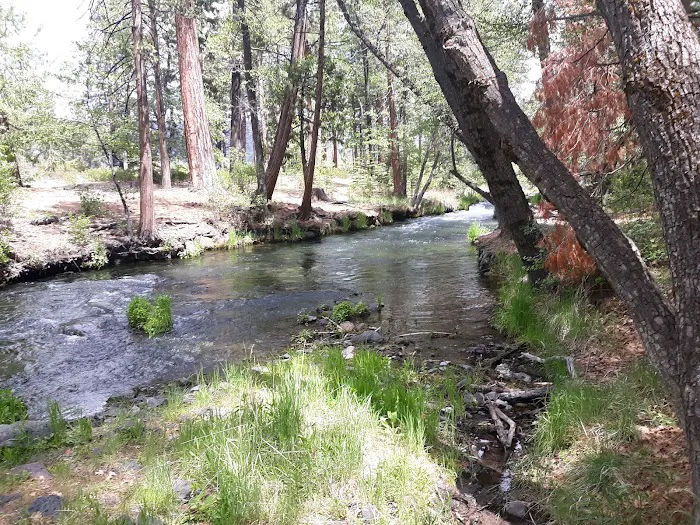 Bridge Campground 5