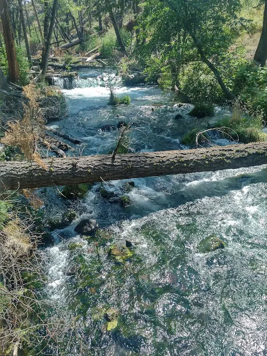 Rocky Campground 9