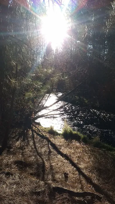 Rocky Campground 3