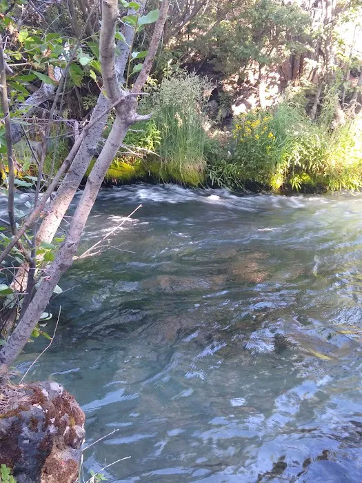 Cave Campground 6