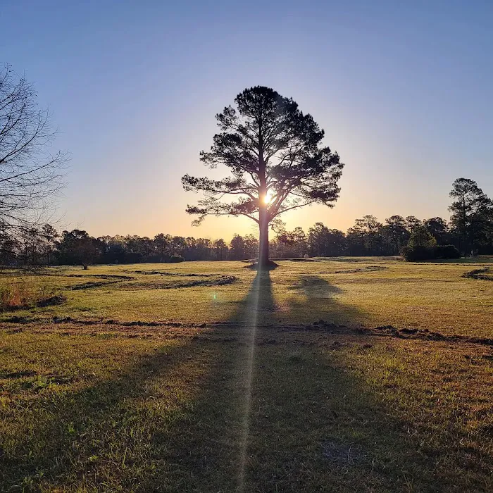 Elysian Fields Park 0