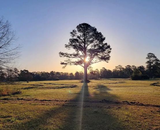 Elysian Fields Park
