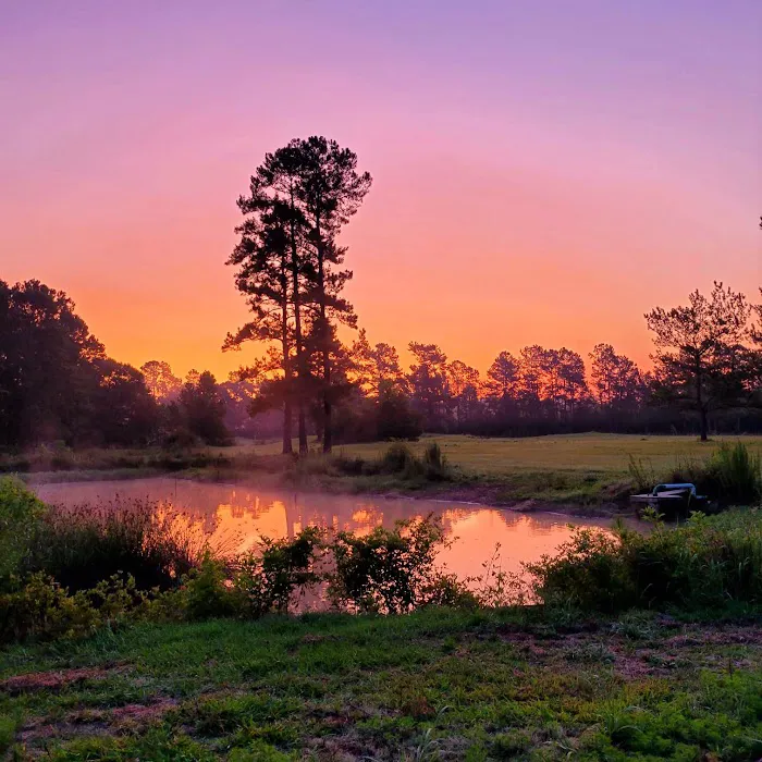 Elysian Fields Park 8