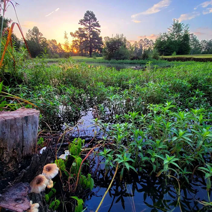Elysian Fields Park 9
