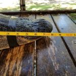 Arrow Head Motel & Campground