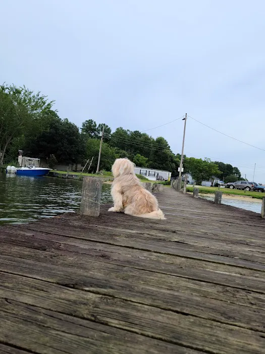 Mac's Camp Landing 0