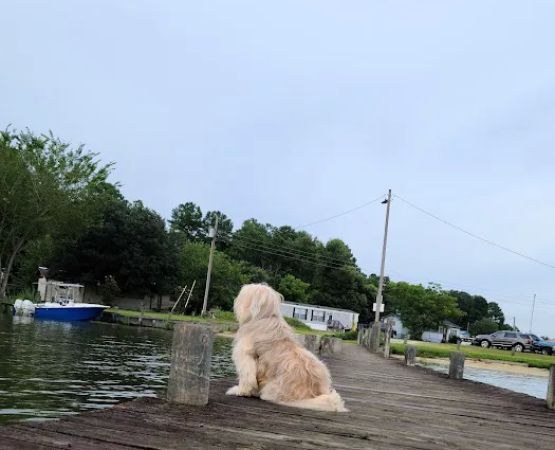 Mac's Camp Landing
