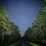 Halfway Creek Trailhead