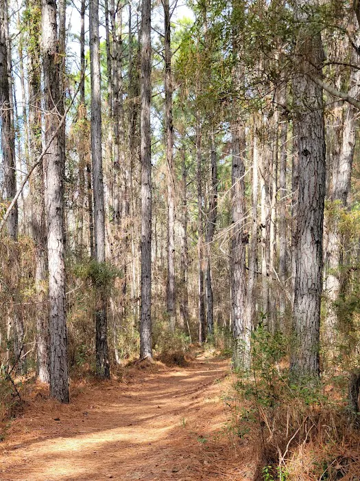 Buck Hall Recreation Area and Boat Landing 9