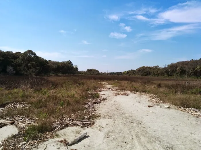 Capers Island Heritage Preserve 5