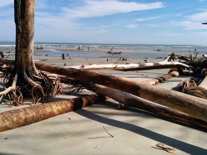 Capers Island Heritage Preserve 1