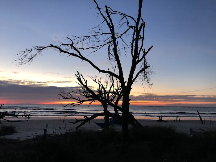 Capers Island Heritage Preserve 3