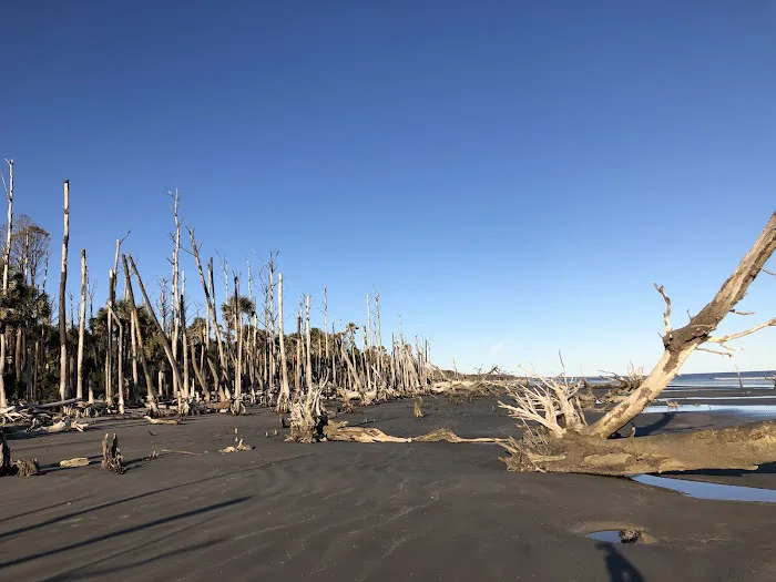Capers Island Heritage Preserve 4