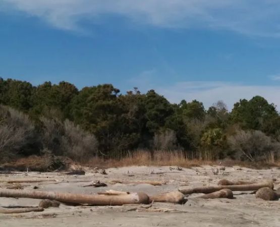 Capers Island Heritage Preserve