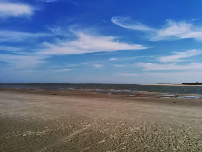 Capers Island Heritage Preserve 6