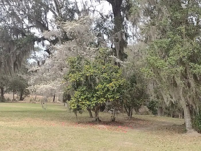 Elmwood Recreation Area 2