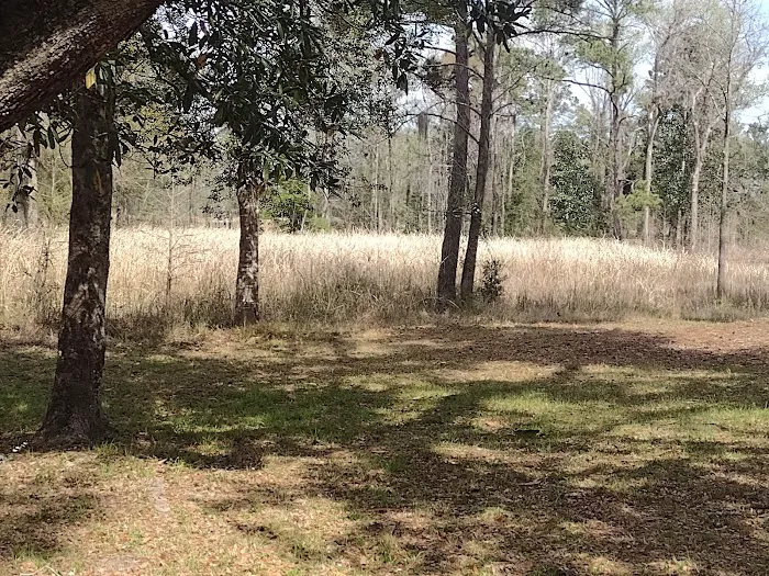 Elmwood Recreation Area 1