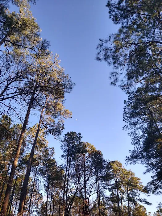Elmwood Recreation Area 9