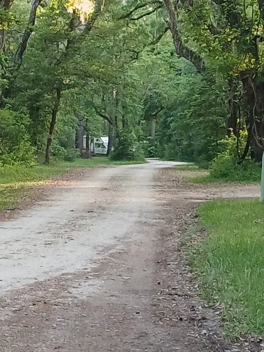 Elmwood Hunt Camp 5