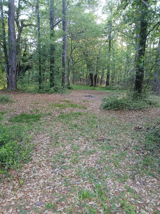 Elmwood Hunt Camp 2